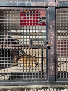 宇都宮動物園に投稿された画像（2024/10/15）