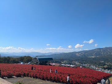 ひるがのピクニックガーデンに投稿された画像（2024/10/15）