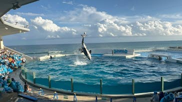 鴨川シーワールドに投稿された画像（2024/10/15）