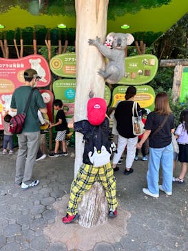 名古屋市東山動植物園に投稿された画像（2024/10/15）