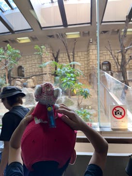 名古屋市東山動植物園に投稿された画像（2024/10/15）