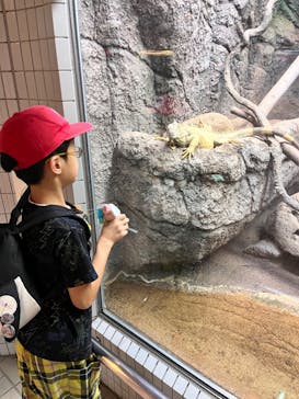 名古屋市東山動植物園に投稿された画像（2024/10/15）