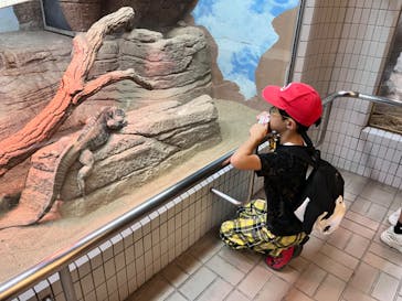 名古屋市東山動植物園に投稿された画像（2024/10/15）