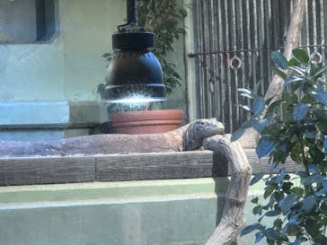 名古屋市東山動植物園に投稿された画像（2024/10/15）