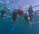 西表島 ADVENTURE PiPi（アドベンチャーピピ）に投稿された画像（2024/10/15）