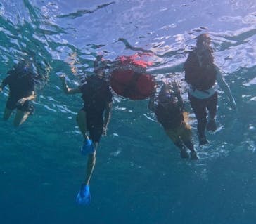 西表島 ADVENTURE PiPi（アドベンチャーピピ）に投稿された画像（2024/10/15）