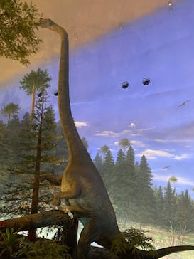 福井県立恐竜博物館に投稿された画像（2024/10/15）