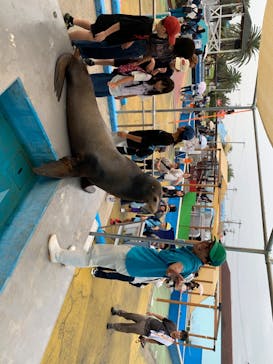 南知多ビーチランド＆南知多おもちゃ王国に投稿された画像（2024/10/15）