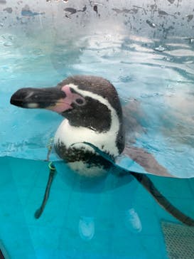 南知多ビーチランド＆南知多おもちゃ王国に投稿された画像（2024/10/15）