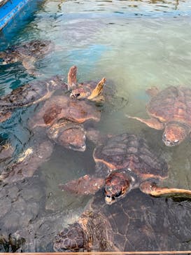 南知多ビーチランド＆南知多おもちゃ王国に投稿された画像（2024/10/15）