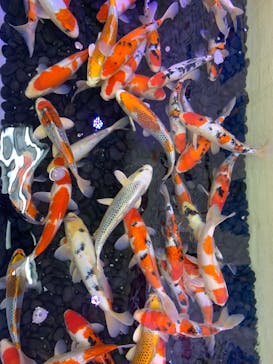 南知多ビーチランド＆南知多おもちゃ王国に投稿された画像（2024/10/15）