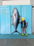 葛西臨海水族園に投稿された画像（2024/10/15）