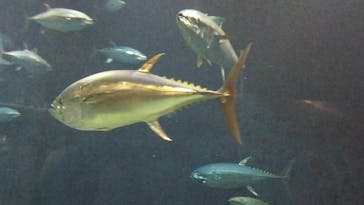 葛西臨海水族園に投稿された画像（2024/10/15）