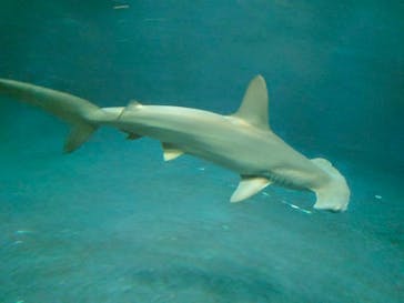 葛西臨海水族園に投稿された画像（2024/10/15）