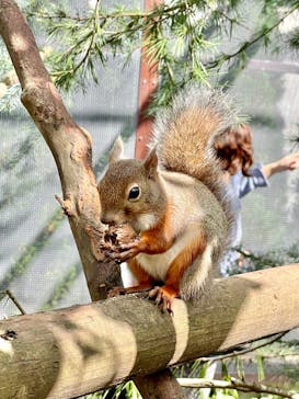 那須どうぶつ王国に投稿された画像（2024/10/15）