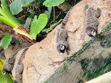 那須どうぶつ王国に投稿された画像（2024/10/15）