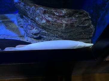 箱根園水族館に投稿された画像（2024/10/15）