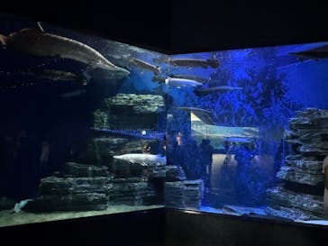 箱根園水族館に投稿された画像（2024/10/15）