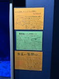竹島水族館に投稿された画像（2024/10/15）