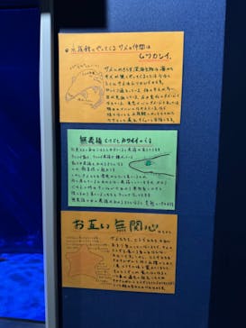 竹島水族館に投稿された画像（2024/10/15）