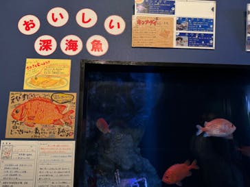 竹島水族館に投稿された画像（2024/10/15）