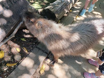 横浜・八景島シーパラダイスに投稿された画像（2024/10/15）