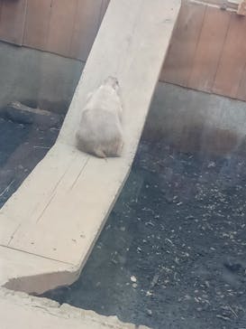 横浜・八景島シーパラダイスに投稿された画像（2024/10/15）