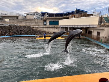 越前松島水族館に投稿された画像（2024/10/15）
