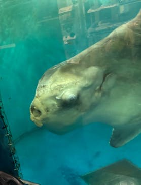 越前松島水族館に投稿された画像（2024/10/15）