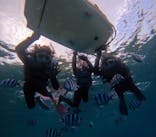 青の洞窟専門店　沖縄ダイビングショップ和に投稿された画像（2024/10/15）