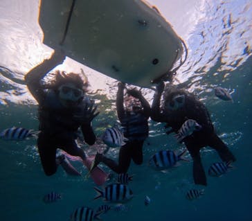 青の洞窟専門店　沖縄ダイビングショップ和に投稿された画像（2024/10/15）