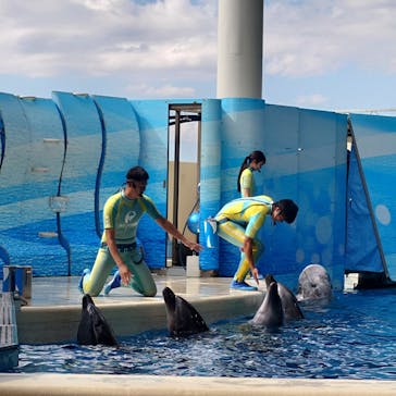新江ノ島水族館に投稿された画像（2024/10/15）