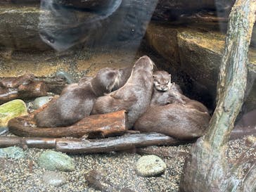 那須どうぶつ王国に投稿された画像（2024/10/15）