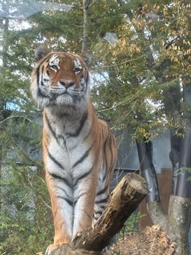 那須どうぶつ王国に投稿された画像（2024/10/15）