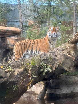 那須どうぶつ王国に投稿された画像（2024/10/15）