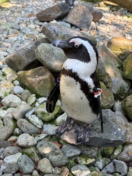 那須どうぶつ王国に投稿された画像（2024/10/15）