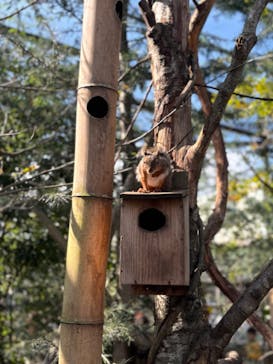 那須どうぶつ王国に投稿された画像（2024/10/15）