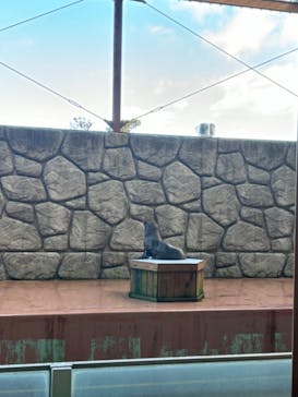 那須どうぶつ王国に投稿された画像（2024/10/15）