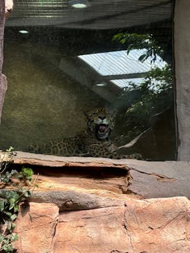 那須どうぶつ王国に投稿された画像（2024/10/15）