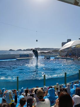 鴨川シーワールドに投稿された画像（2024/10/15）