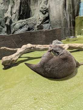 竹島水族館に投稿された画像（2024/10/15）