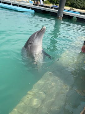 もとぶ元気村に投稿された画像（2024/10/15）