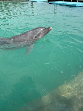 もとぶ元気村に投稿された画像（2024/10/15）