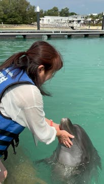 もとぶ元気村に投稿された画像（2024/10/15）