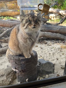 那須どうぶつ王国に投稿された画像（2024/10/15）