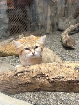 那須どうぶつ王国に投稿された画像（2024/10/15）