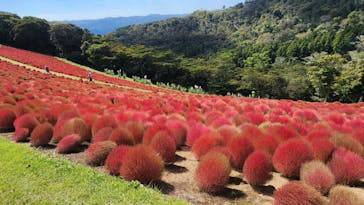 マザー牧場に投稿された画像（2024/10/15）