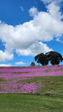 マザー牧場に投稿された画像（2024/10/15）