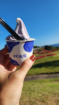 マザー牧場に投稿された画像（2024/10/15）