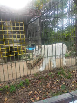 東北サファリパークに投稿された画像（2024/10/15）